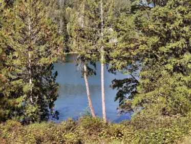 Pantry Photo of 5611 E Oyster Bay Road, Garden Bay, BC