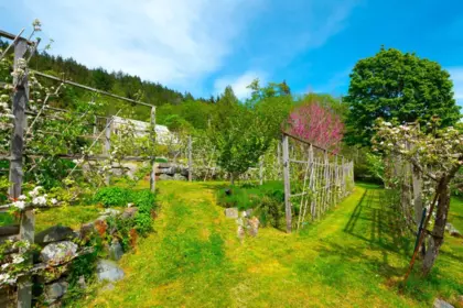 Outdoor Kitchen Photo of 620 Laura Road, Bowen Island, BC