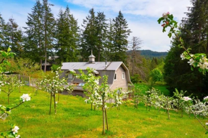 Outdoor Patio Photo of 620 Laura Road, Bowen Island, BC
