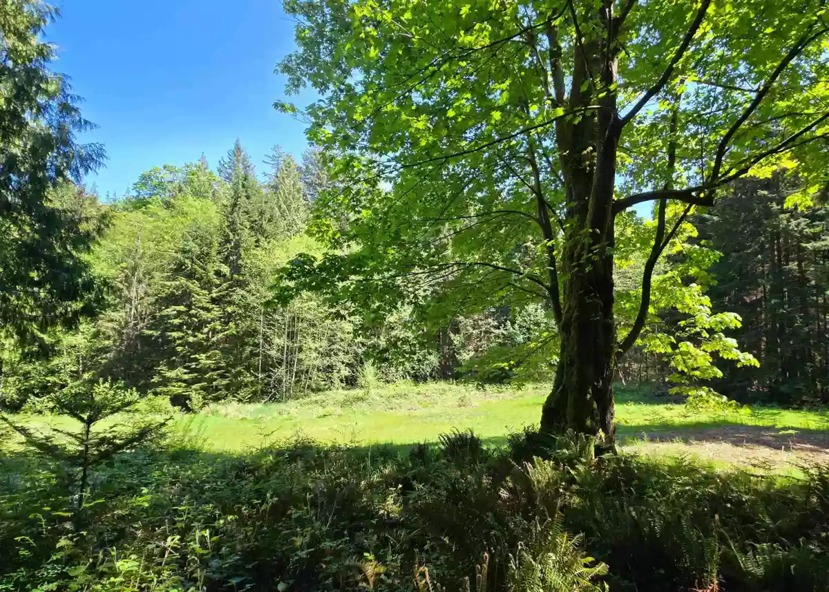 Garage Interior Photo of 586 Treasure Trove Road, Keats Island, BC