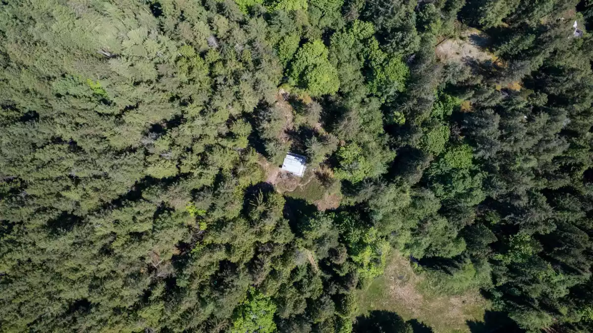 Garden / Landscaping Photo of 586 Treasure Trove Road, Keats Island, BC