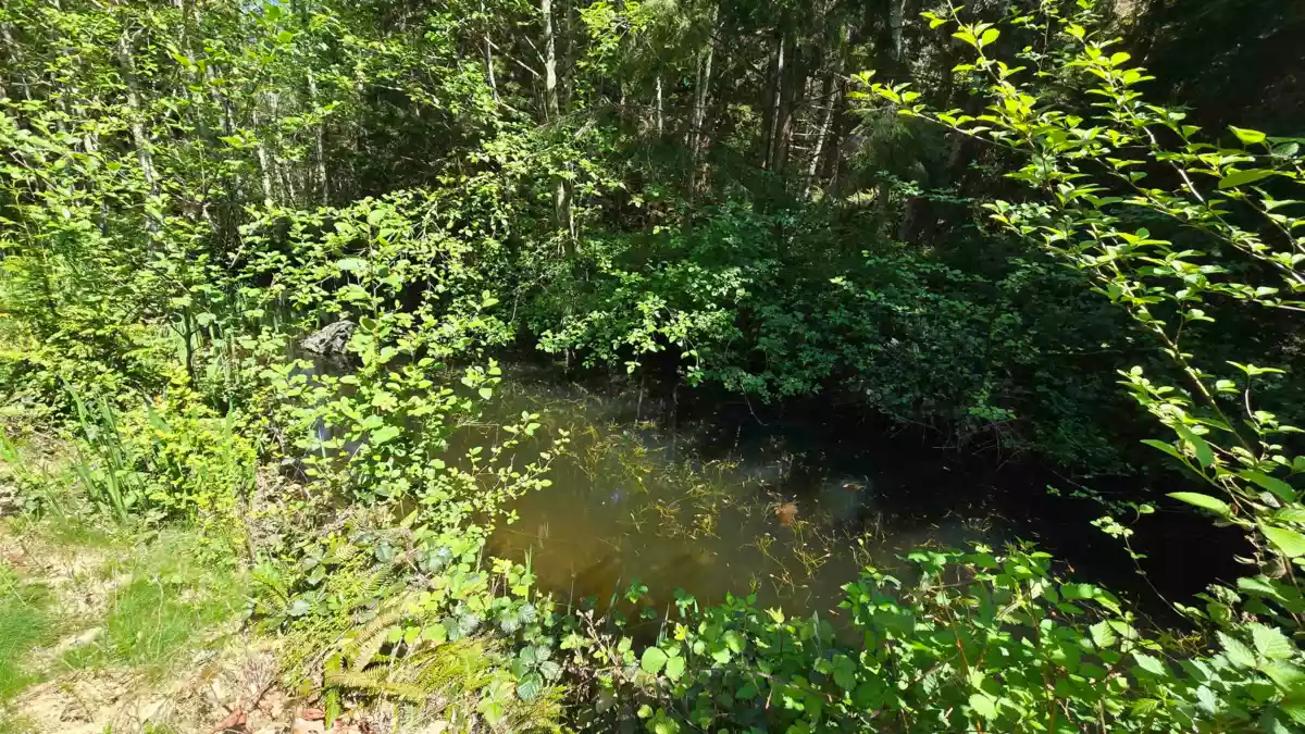 Hallway Photo of 586 Treasure Trove Road, Keats Island, BC