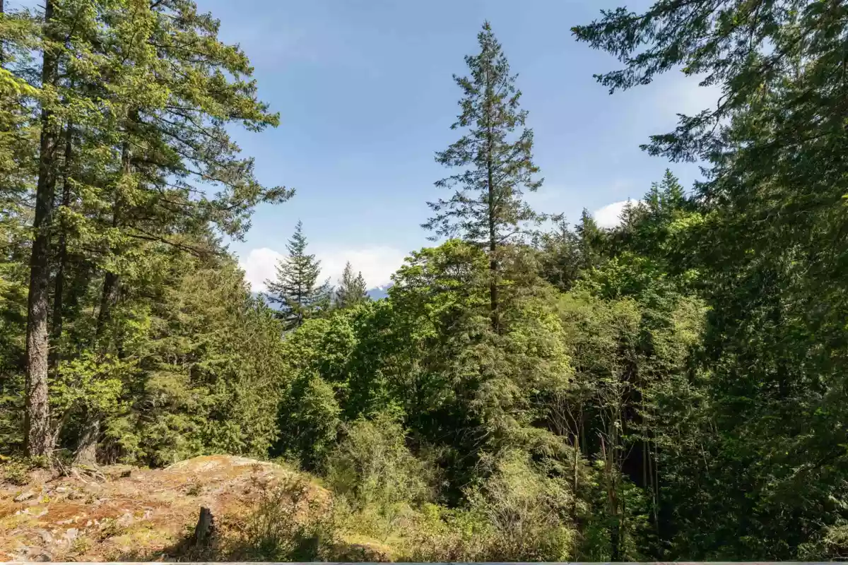 Loft / Bonus Room Photo of 586 Treasure Trove Road, Keats Island, BC