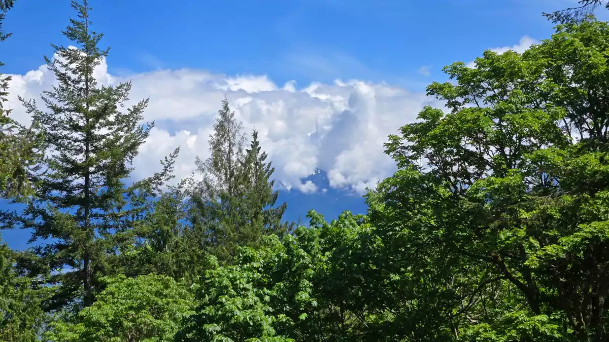 Outdoor Kitchen Photo of 586 Treasure Trove Road, Keats Island, BC