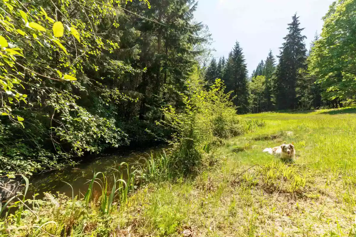 Outdoor Patio Photo of 586 Treasure Trove Road, Keats Island, BC
