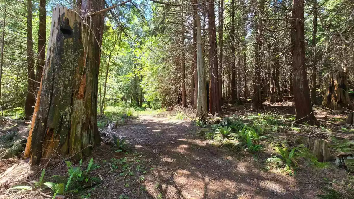 Staircase Photo of 586 Treasure Trove Road, Keats Island, BC