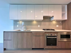 302 618 Carnarvon Street, New Westminster, BC