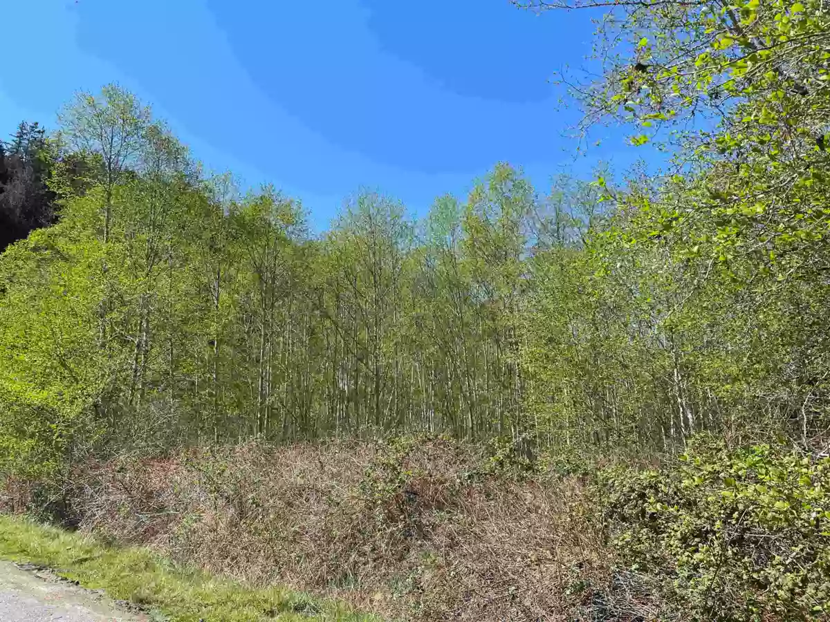 Kitchen Island Photo of 105 Sunset Boulevard, Saturna Island, BC