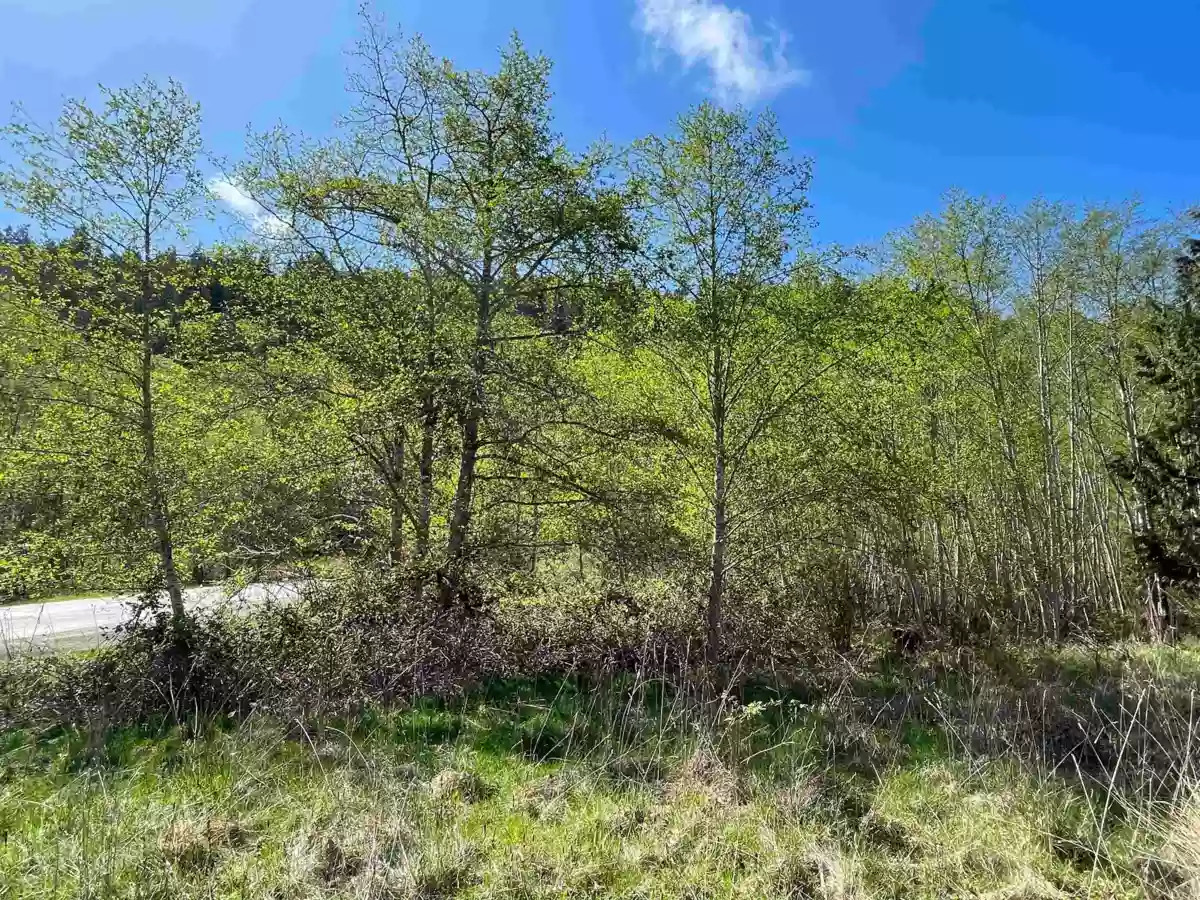 Living Room Photo of 105 Sunset Boulevard, Saturna Island, BC