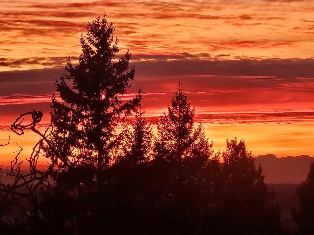 Bedroom 3 Photo of 2323 Dublin Street, New Westminster, BC