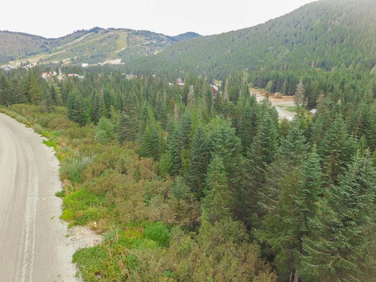Powder Room Photo of 20478 Edelweiss Drive, Mission, BC