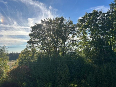 Aerial View of 10170 Jackson Road, Maple Ridge, BC