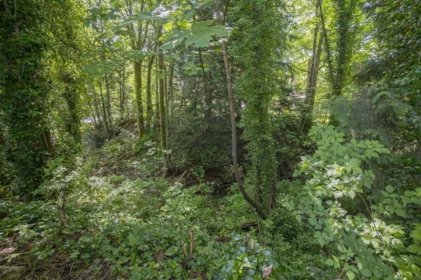 Garden / Landscaping Photo of 109 10308 155a Street, Surrey, BC