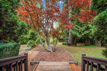 Breakfast Nook Photo of 13912 28 Avenue, Surrey, BC