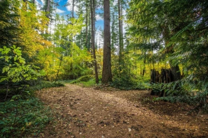 Hot Tub / Spa Photo of 13912 28 Avenue, Surrey, BC