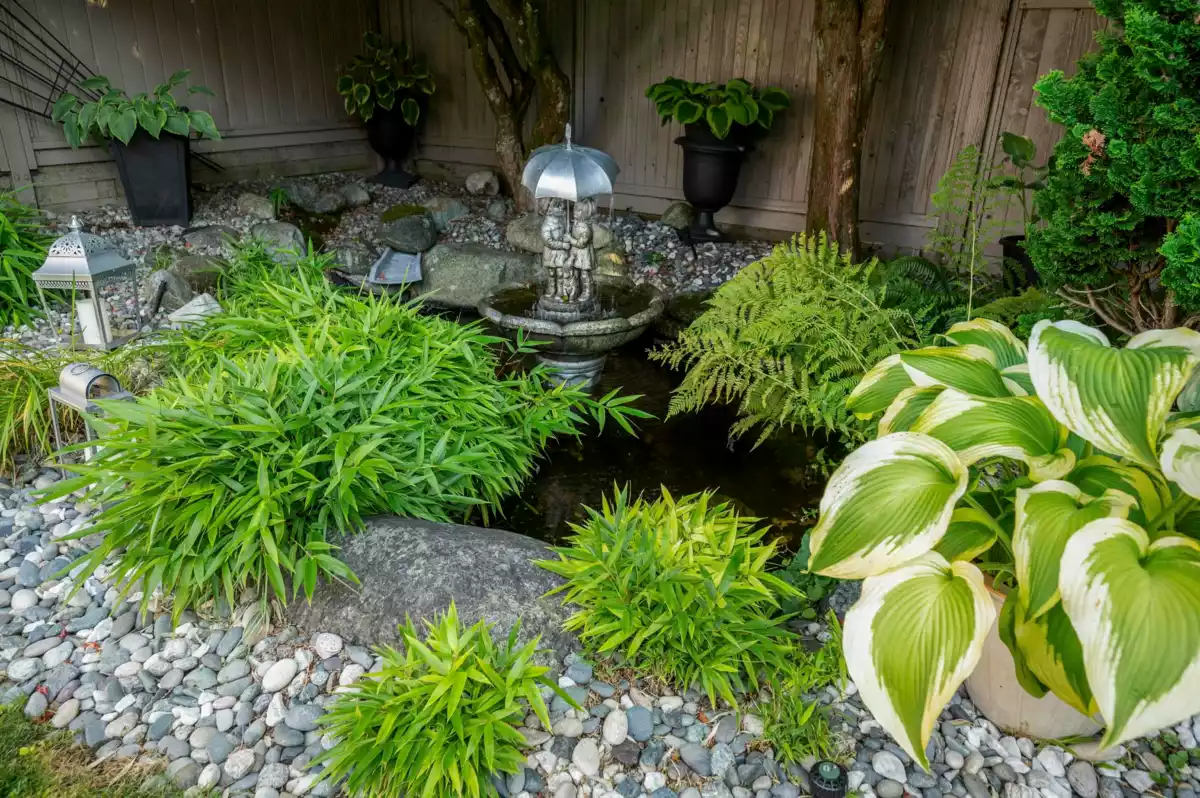 Community Amenities Photo (Clubhouse) of 1563 Wintergreen Place, Coquitlam, BC