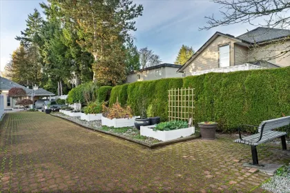 Outdoor Deck Photo of 18 11950 Laity Street, Maple Ridge, BC