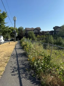 Backyard Photo of 6725 192 Street, Surrey, BC