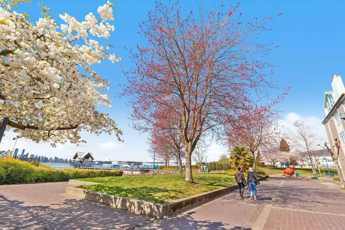 Outdoor Kitchen Photo of 112 240 Mahon Avenue, North Vancouver, BC