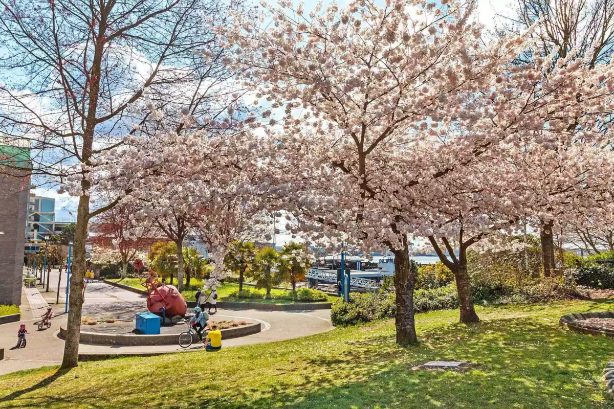 Playground / Recreational Area Near 112 240 Mahon Avenue, North Vancouver, BC