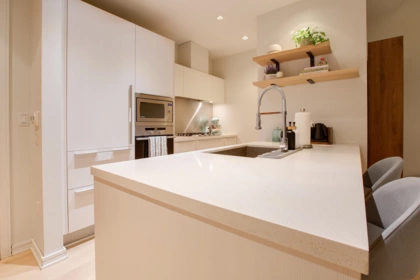 Pantry Photo of 501 1616 Columbia Street, Vancouver, BC