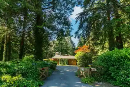 13425 Woodcrest Drive, Surrey, BC, Surrey — Single Family Residence for sale