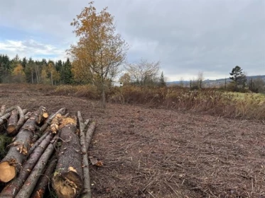 8295 264 Street, Langley, BC, Langley — Land for sale