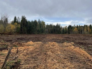 8295 264 Street, Langley, BC, Langley — Land for sale