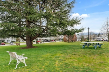 Backyard Photo of 220 32691 Garibaldi Drive, Abbotsford, BC