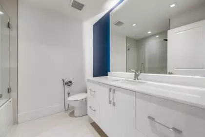 Aerial View of 389 Metta Street, Port Moody, BC