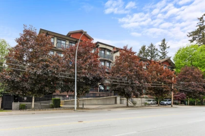 308 19830 56 Avenue, Langley, BC, Langley — Apartment/Condo for sale