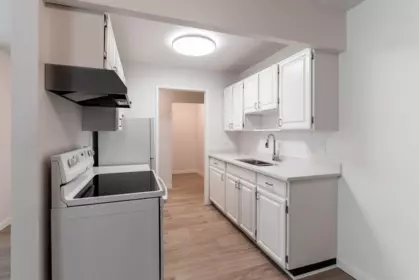 Basement Recreation Room Photo of 312 330 E 7th Avenue, Vancouver, BC