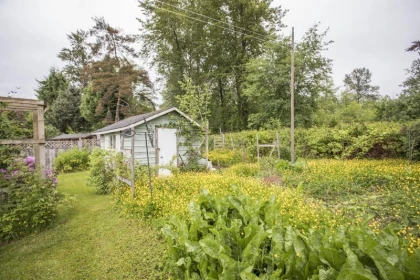 Backyard Photo of 12104 261 Street, Maple Ridge, BC