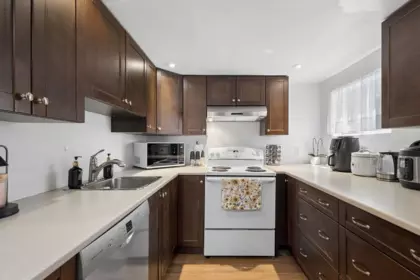 Aerial View of 1255 E 23rd Avenue, Vancouver, BC