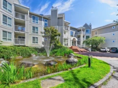 221 7435 Moffatt Road, Richmond, BC