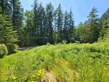 Pantry Photo of LOT 5 Lower Road, Roberts Creek, BC