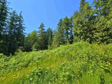 Walk-In Closet Photo of LOT 5 Lower Road, Roberts Creek, BC