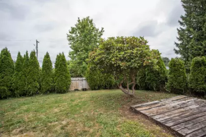 Pantry Photo of 12393 Gray Street, Maple Ridge, BC