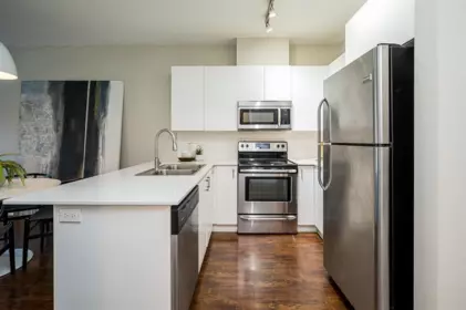 Kitchen Photo of 302 20460 Douglas Crescent, Langley, BC