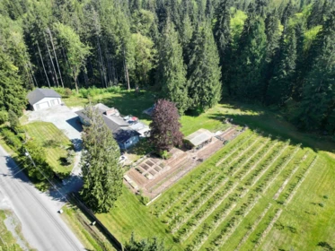 25908 124 Avenue, Maple Ridge, BC, Maple Ridge — Single Family Residence for sale