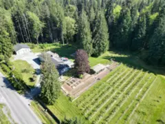 25908 124 Avenue, Maple Ridge, BC
