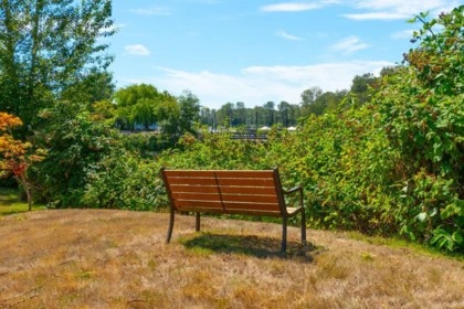 Outdoor Patio Photo of 112 4955 River Road, Delta, BC