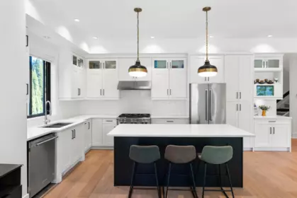 Pantry Photo of 3323 147 Street, Surrey, BC