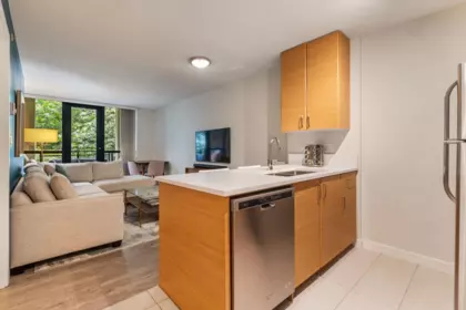 Pantry Photo of 306 977 Mainland Street, Vancouver, BC