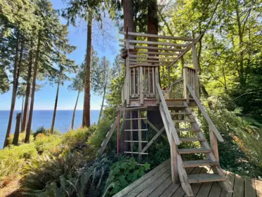 Garden / Landscaping Photo of 61/Lot3 Larson Road, Gibsons, BC
