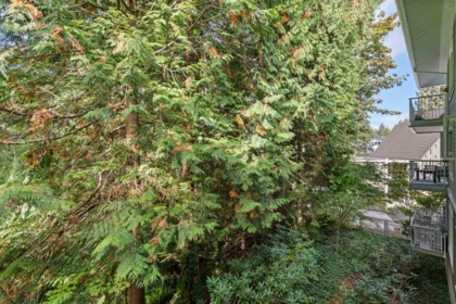 Staircase Photo of 208 3151 Connaught Crescent, North Vancouver, BC
