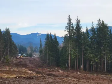 30236 Endo Avenue, Mission, BC, Mission — Land for sale