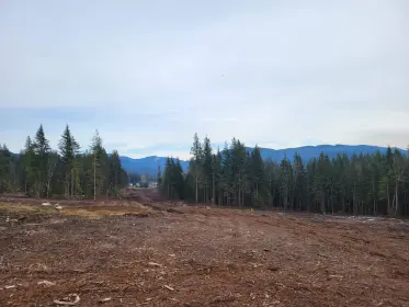 30236 Endo Avenue, Mission, BC, Mission — Land for sale