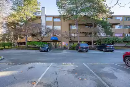204 7297 Moffatt Road, Richmond, BC, Richmond — Apartment/Condo for sale