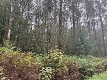 DL990 NW Magee Road, Squamish, BC, Squamish — Land for sale